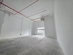 Ct Foodnex (D25), Factory #498767691